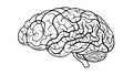 Simple Human Brain Outline for General Science, vector design Generative AI Royalty Free Stock Photo