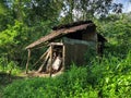 A simple hut where copra is dried Royalty Free Stock Photo