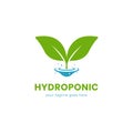Simple hydroponic farm logo icon with natural green leaf and water ripple symbol Royalty Free Stock Photo