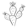 Simple icon cactus. One line drawing. House or wild cactus. Black and white clipart vector illustration.