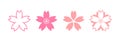 simple icon. sakura, cherry blossom, pink petals, and spring flowers. white background. vector illustration Royalty Free Stock Photo