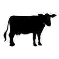 A simple icon of a young cow - heifer