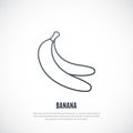 Simple illustration of bananas pair.