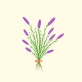 A simple illustration of a bunch Lavenders with a cream background. Royalty Free Stock Photo