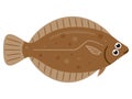 Simple illustration of fresh fish flatfish