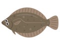 Simple illustration of fresh fish flounder