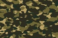 Seamless camouflage texture background with military colors