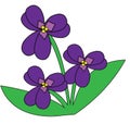 Three violet flowers with leaves