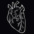 Simple illustration of a white anatomical heart on a black background Royalty Free Stock Photo