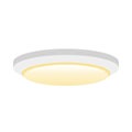 Simple illustration _ White ceiling light, semi -light