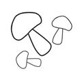 A simple image of a mushroom. Mushroom icon. Mushroom scribble