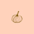 Simple ink sketch of pumpkin on pink background. Hand-drawn vector illustration Royalty Free Stock Photo