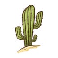 Simple isolated doodle style sticker. Tall succulent cactus with thorns grows in the desert in the sand. Wild west concept cowboy