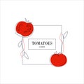 Tomatoes simple isolated packaging vegetables design flavored. Line drawing for label. Freehand vector illustration isolated