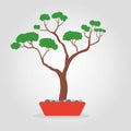 Simple Isolated Tree Bonsai Vector