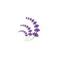 simple lavender flower free icon vector logo Royalty Free Stock Photo