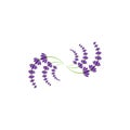 simple lavender flower free icon vector logo Royalty Free Stock Photo