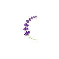 simple lavender flower free icon vector logo Royalty Free Stock Photo