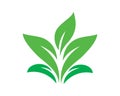 Simple Leaf Plant and Lawncare Symbol Royalty Free Stock Photo