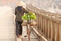 Simple life. Rear view of Vietnamese women with bicycle across the wooden bridge. Vietnamese women with Vietnam hat, vegetable on