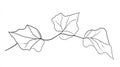 Outline Drawing of Ivy Leaves on Stem, Black and White Botanical Line Art Royalty Free Stock Photo