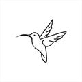 Simple line art feminine black humming bird vector