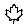Simple Line Art Maple Leaf Outline Icon Doodle Style Design Element Royalty Free Stock Photo