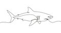 Simple line drawing of a great white shark Royalty Free Stock Photo