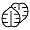 Simple line drawing icon of two walnut halves