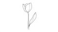 Simple Line Drawing of a Single Tulip Flower with Leaf, Clean Line Art Royalty Free Stock Photo