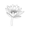 Simple line lotus flower. black and white isolated. Hand draw li Royalty Free Stock Photo