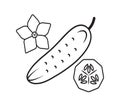 simple linear drawing graphics icon cucumber cucumber slice with flower isolated black on white background