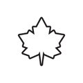 Simple lines icon maple leaf vector