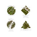 Simple logo collection. Engraved logotype set. Tropical beauty salon symbols. Vector illustration