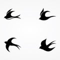 Simple logo template design silhouette of a martin martlet swallow flying hovering