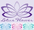 Simple lotus flowers