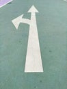 Simple make a turn choice concept: White isolated arrow on green pavement showing direction straight ahead or left Royalty Free Stock Photo