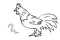 Simple Manual hand draw sketch Rooster and worm