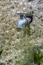 Simple metal faucet coming out of a rock in a garden Royalty Free Stock Photo