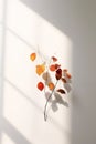 Simple, minimal arrangement, twig with Autumn leaves, sunlight, shadows, generative AI Royalty Free Stock Photo