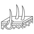 Simple minimal outline icon of the isometric section of skin with hair follicles