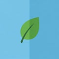 A simple minimalist design featuring a single green leaf with a dark green vein Royalty Free Stock Photo