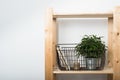 Simple minimalist furniture, wooden shelf