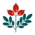 Simple minimalistic green branch of a dogrose with leaves and red berries. Floral collection of colorful elegant plants