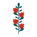 Simple minimalistic green branch of raspberry with leaves and red berries. Floral collection of elegant plants for