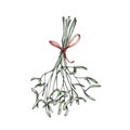 Simple mistletoe with berries and bundled with a red bow