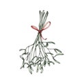 Simple mistletoe bundled with a red bow
