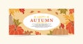 Simple and modern Autumn banner design Royalty Free Stock Photo