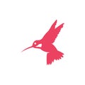 Simple Modern flying Hummingbird Logo - Vector illustration Royalty Free Stock Photo