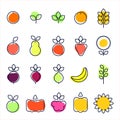 Simple, modern style icons of vegetables, fruits, cereals. cartoon flat design